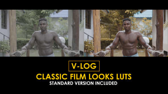 Vlog Classic Film Looks And Standard Color Luts - VideoHive 51378199