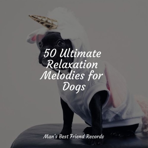 Jazz Music Therapy for Dogs - 50 Ultimate Relaxation Melodies for Dogs - 2022