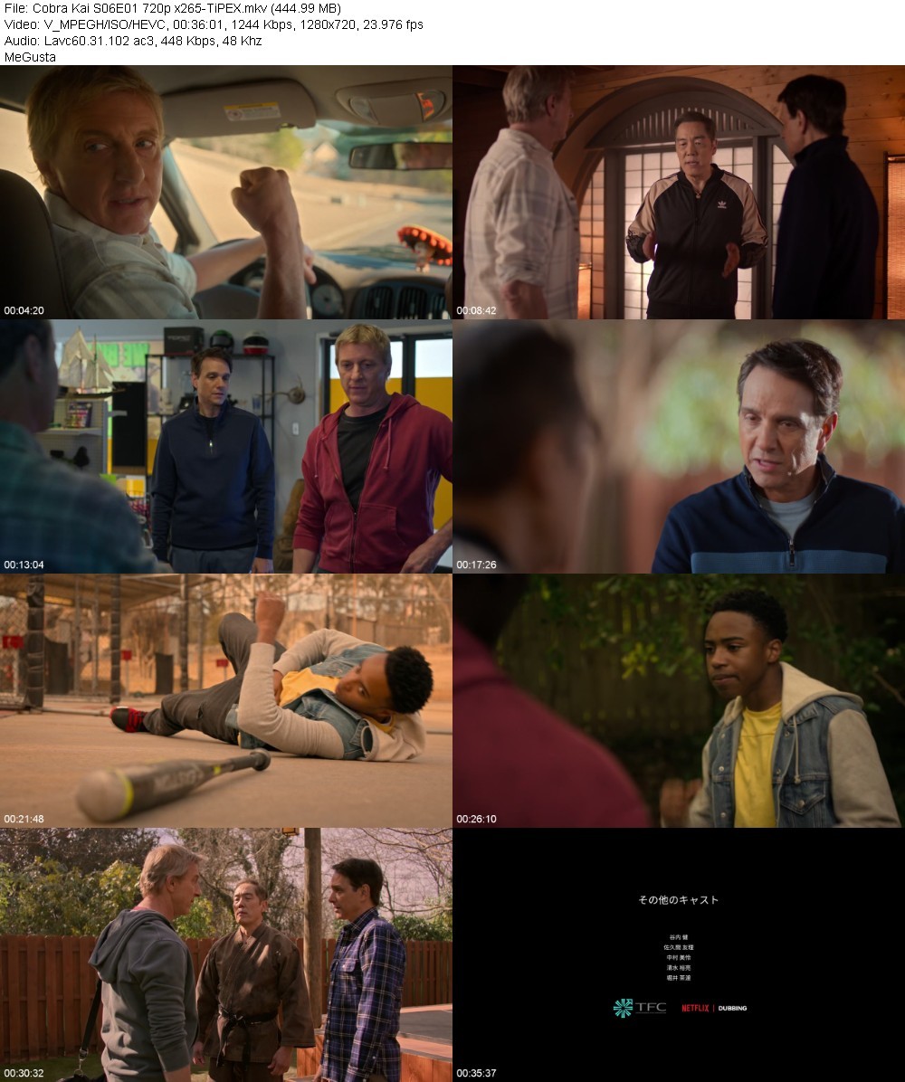 Cobra Kai S06E01 720p x265-TiPEX