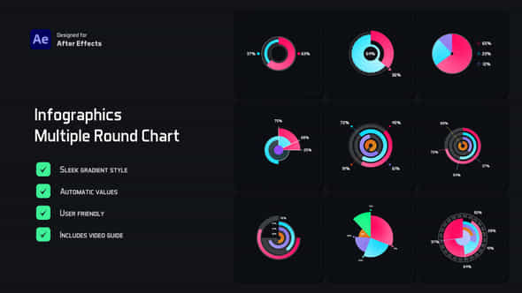 Multiple Round Chart Infographics - VideoHive 52499051