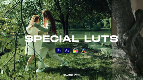 Special LUTs Color - VideoHive 39731920