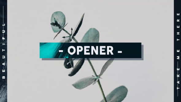 Typography Opener - VideoHive 21535007