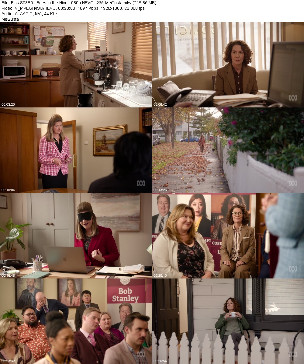 Fisk S03E01 Bees in the Hive 1080p HEVC x265-MeGusta