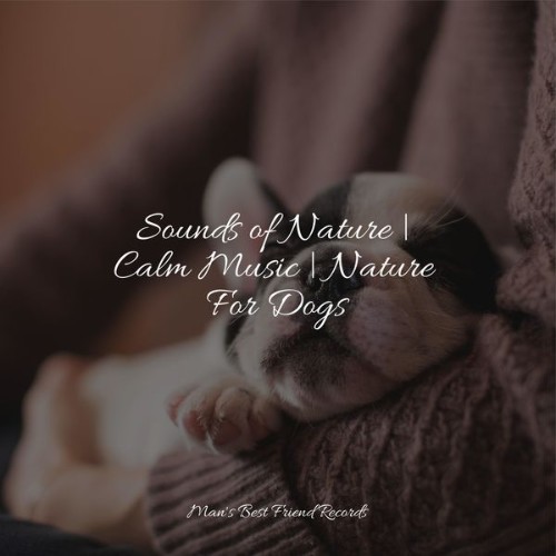 Official Pet Care Collection - Sounds of Nature  Calm Music  Nature For Dogs - 2022