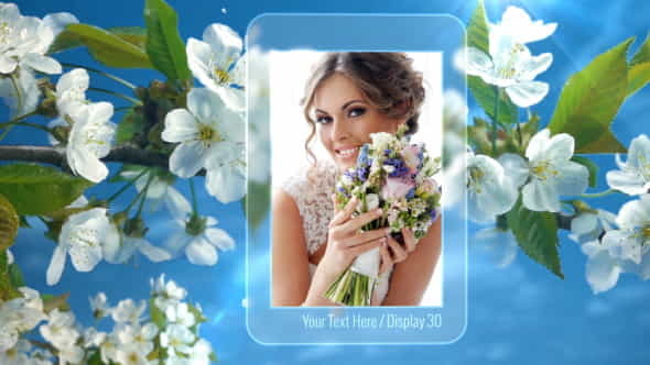 Photo Gallery Spring - VideoHive 11171173