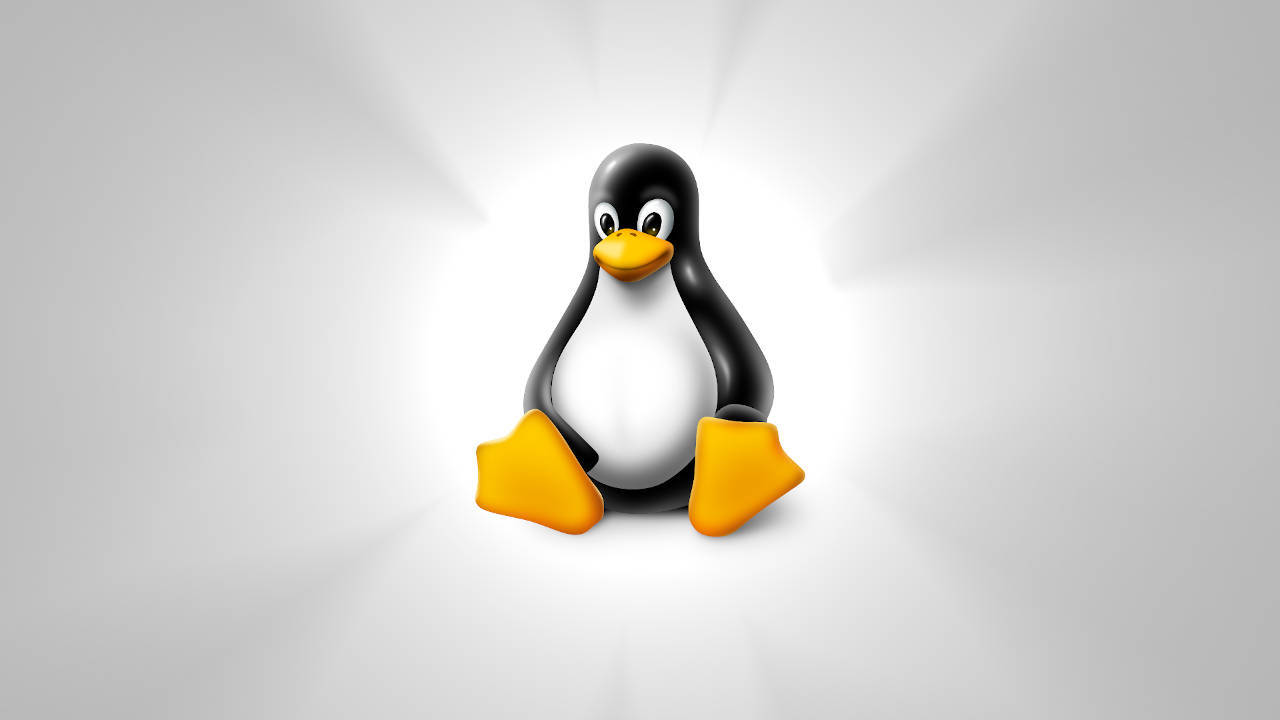 O Que realmente é Linux | NullExcept