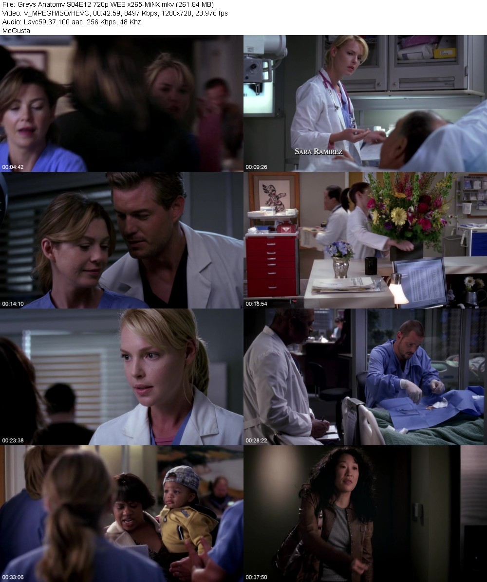 Greys Anatomy S04E12 720p WEB x265-MiNX