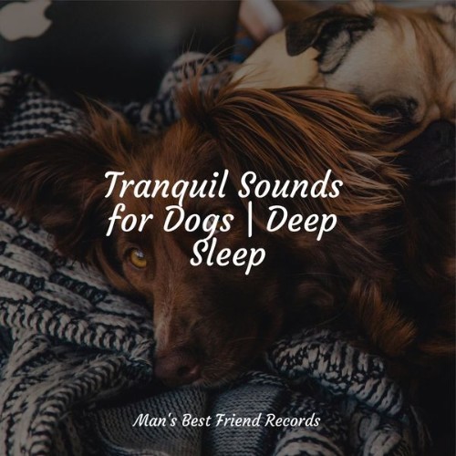 Jazz Music Therapy for Dogs - Tranquil Sounds for Dogs  Deep Sleep - 2022