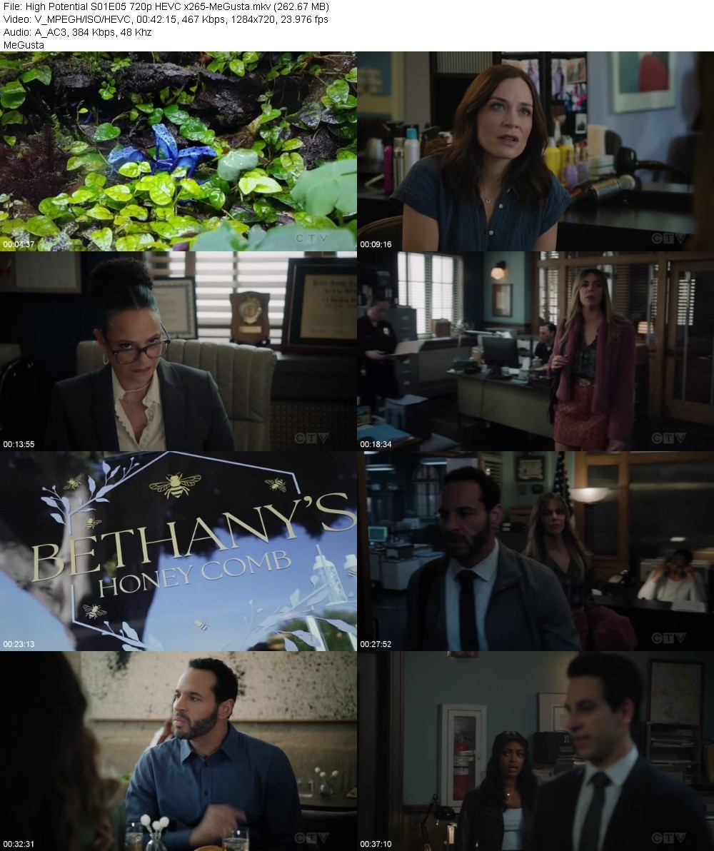 High Potential S01E05 720p HEVC x265-MeGusta