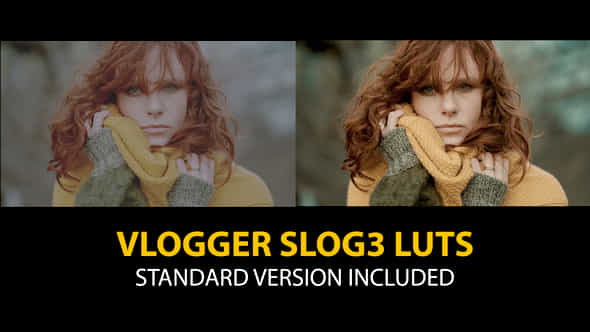 Slog3 Vlogger And Standard Color Luts - VideoHive 48789950