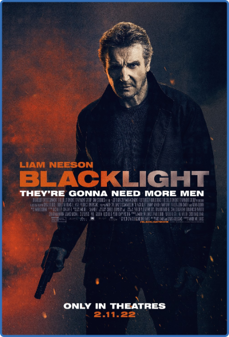 Blacklight 2022 BRRip XviD AC3-EVO