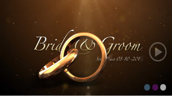 Weddings Rings Intro - VideoHive 622944