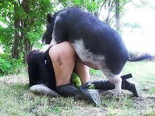 Black boar awards filthy bitch with cumshots after zoo sex.mp4