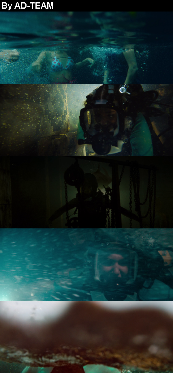 47 Meters Down Uncaged 2019 720p BluRay x264-GECKOS 47 Meters Down Uncaged 2019 720p BluRay x264-GECKOS