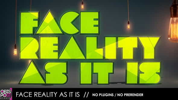 Face Reality As It Is - VideoHive 4804149