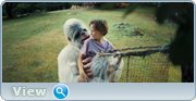 https//images2.imgbox.com/97/3b/2m01vaM7_o.jpg
