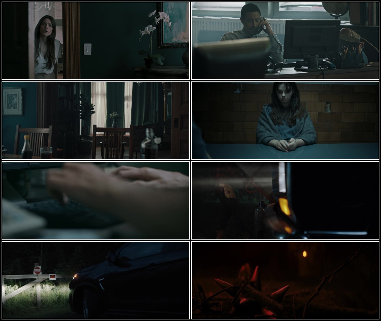 ojP9FFu5 o - It Feeds (2025) 1080p WEB-DL HEVC x265 5 1 BONE