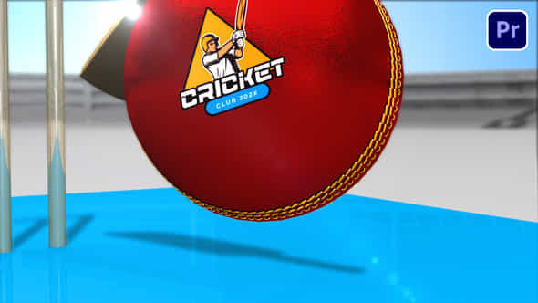 Cricket Bumper - VideoHive 54310131