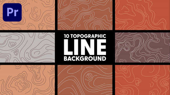 Topographic Line Background - VideoHive 50474412