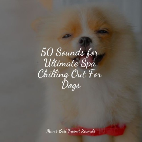 Music for Calming Dogs - 50 Sounds for Ultimate Spa Chilling Out For Dogs - 2022