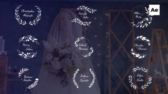 Wedding Titles - VideoHive 50850401