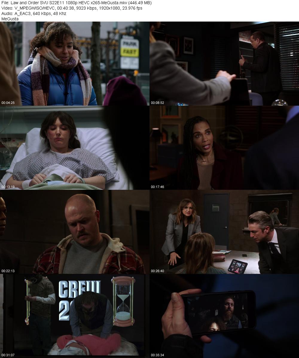 Law and Order SVU S22E11 1080p HEVC x265