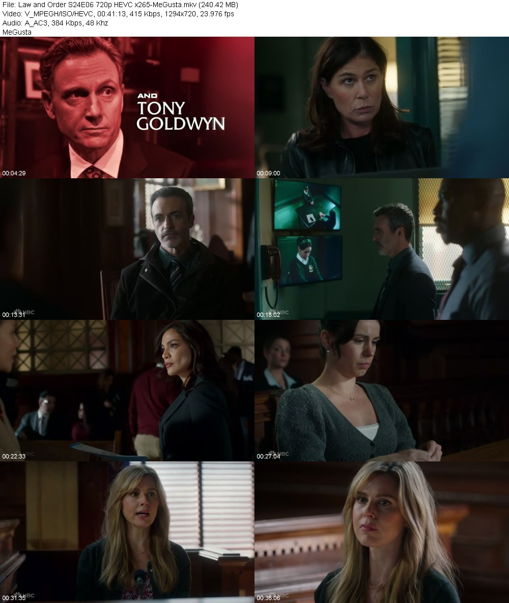 Law and Order S24E06 720p HEVC x265-MeGusta