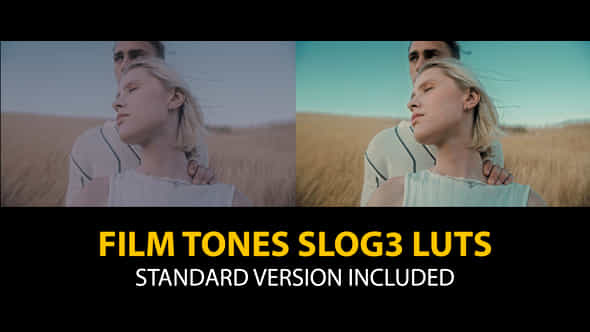 Slog3 Film Tones And Standard Color Luts - VideoHive 48800494