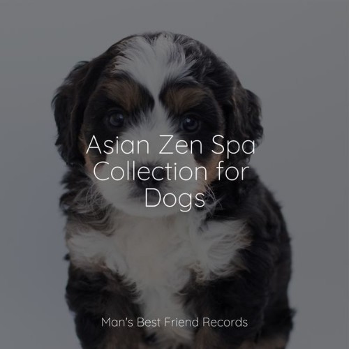 Pet Care Music Therapy - Asian Zen Spa Collection for Dogs - 2022
