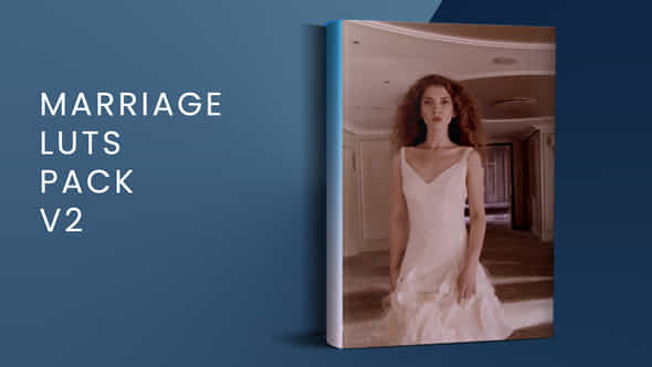 Marriage Luts Pack V2 Davinci Resolve - VideoHive 49640824