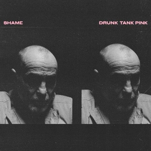 Shame - Drunk Tank Pink (Amazon Exclusive) (2021) [CD FLAC]