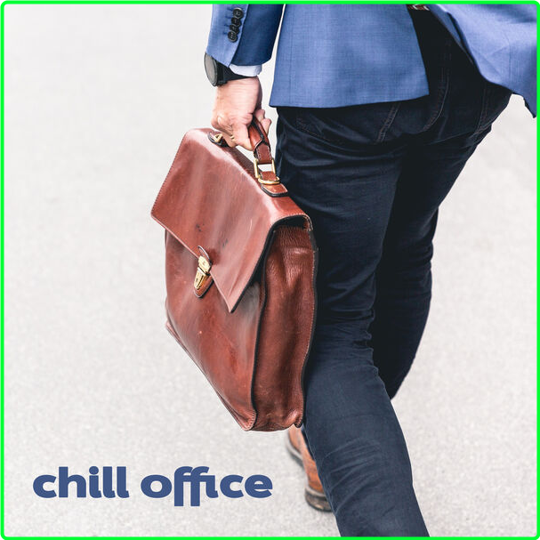 V A Chill Office (2024) Pop Flac 16 44 6bhGn1F0_o