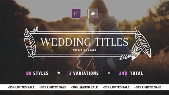 Wedding Titles - VideoHive 24973837