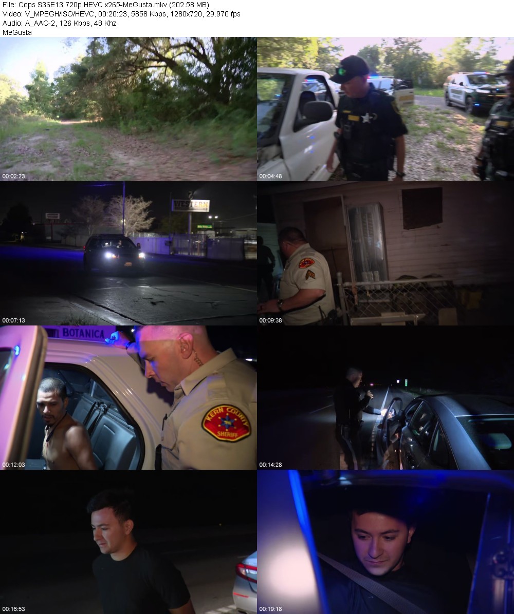 Cops S36E13 720p HEVC x265-MeGusta