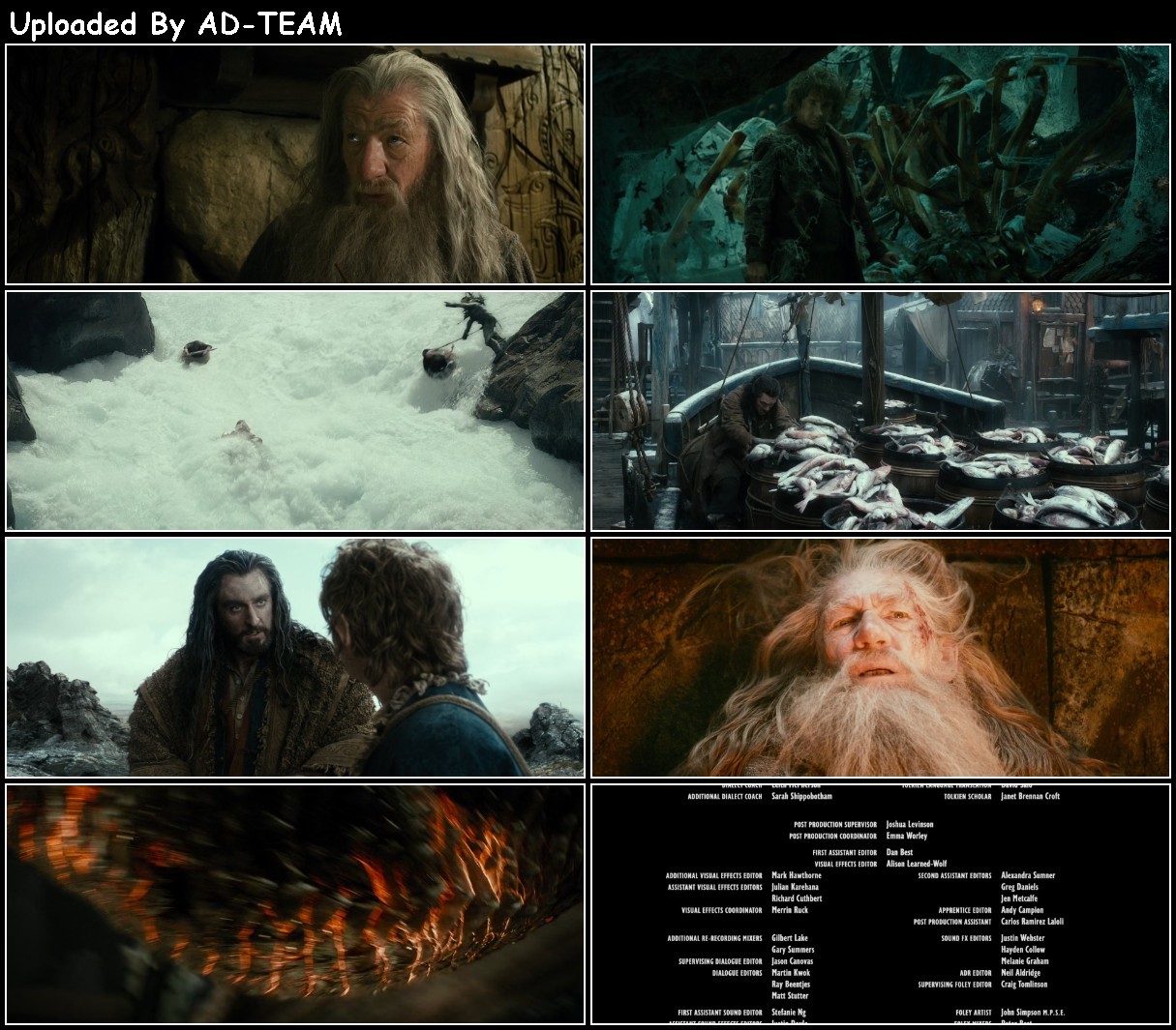 The Hobbit The Desolation of Smaug 2013 EXTENDED 1080p BluRay x265-RARBG WqsR9aNP_o