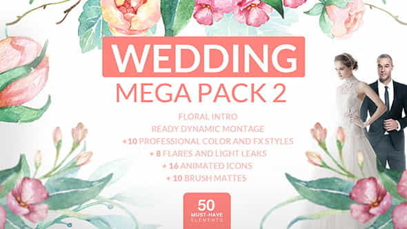 Wedding Mega Pack 2 - VideoHive 12701122