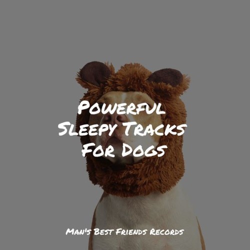 Calming Music for Dogs - Powerful Sleepy Tracks For Dogs - 2022