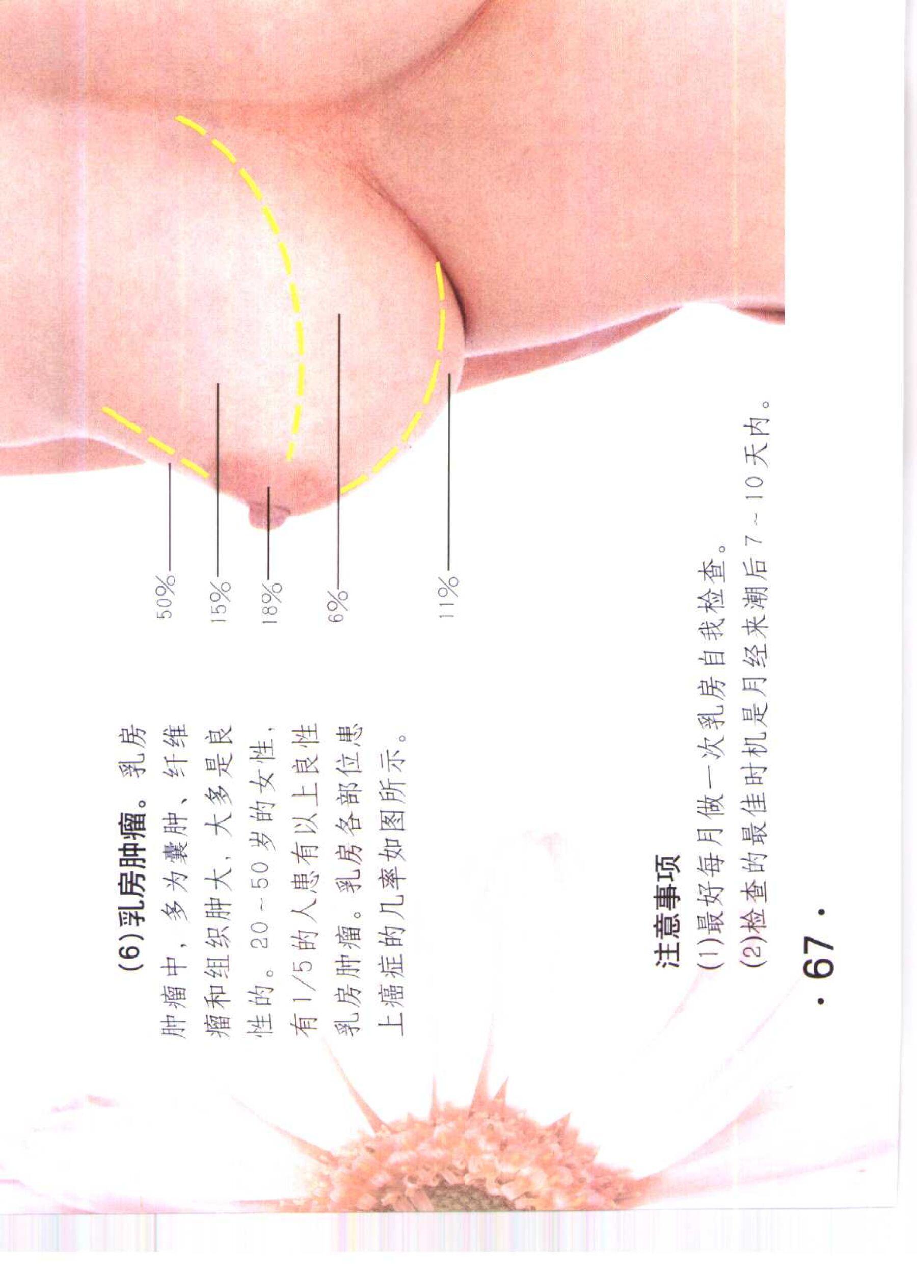书籍扫描 乳房保健按摩彩色图谱(72)