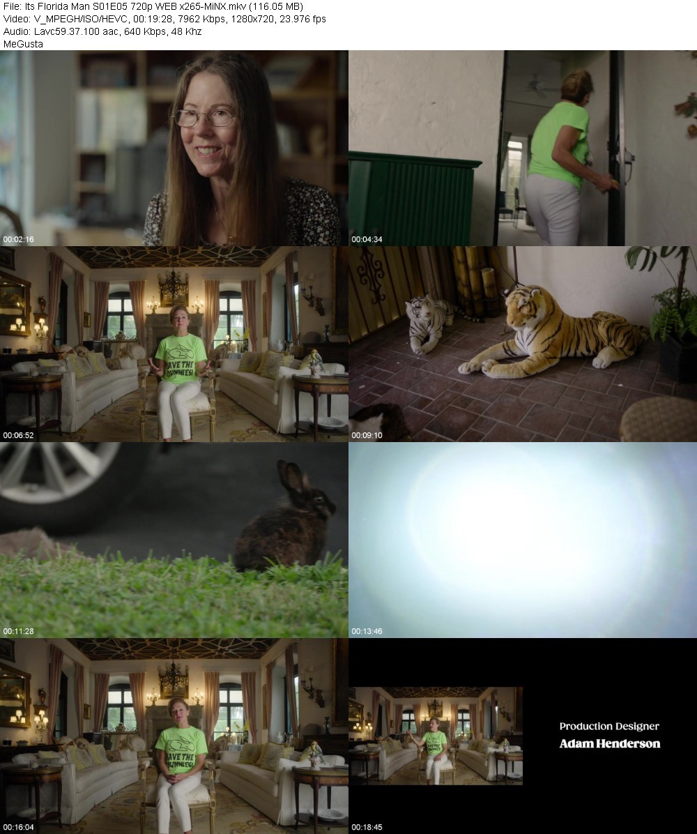 Its Florida Man S01E05 720p WEB x265-MiNX