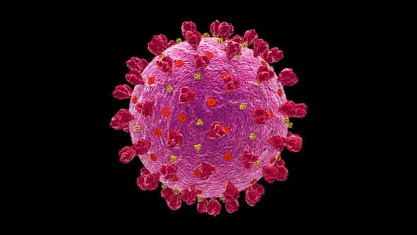 Coronavirus Covid 19 Cell V16 - VideoHive 32277241