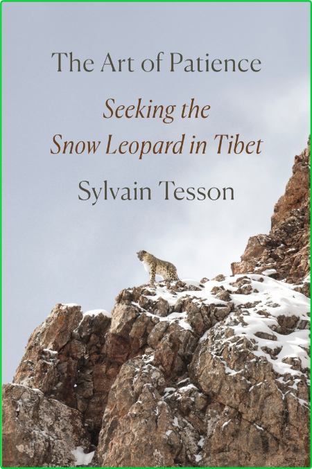The Art of Patience  Seeking the Snow Leopard in Tibet by Sylvain Tesson