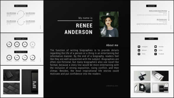 Portfolio CV - VideoHive 28409397
