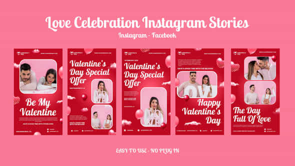 Love Celebration Instagram Stories - VideoHive 56339895