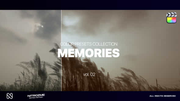 Memories LUT Collection - VideoHive 47794892