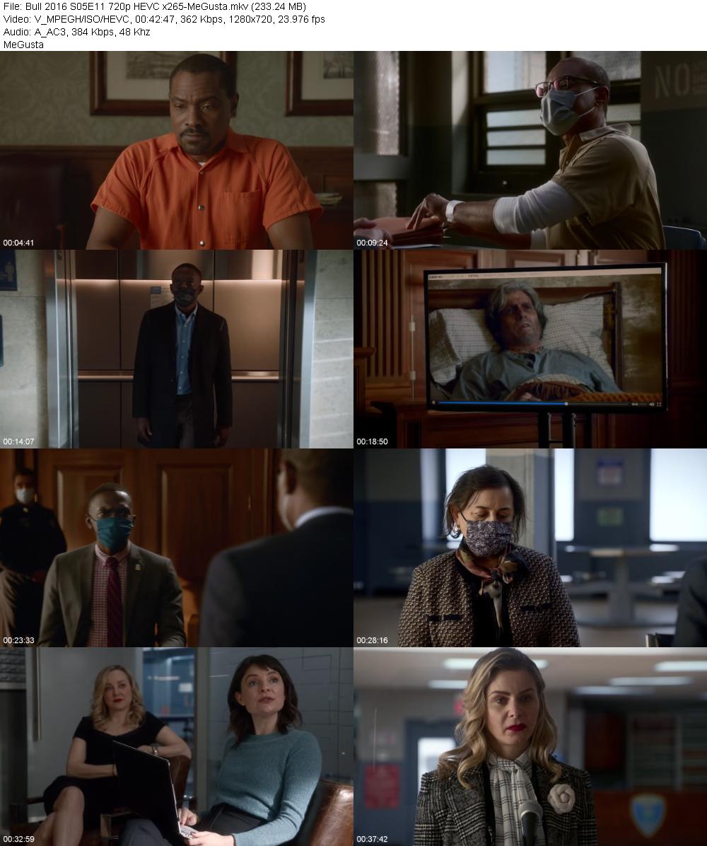 Bull 2016 S05E11 720p HEVC x265