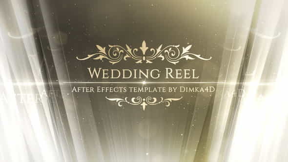 Wedding Promo - VideoHive 24225155