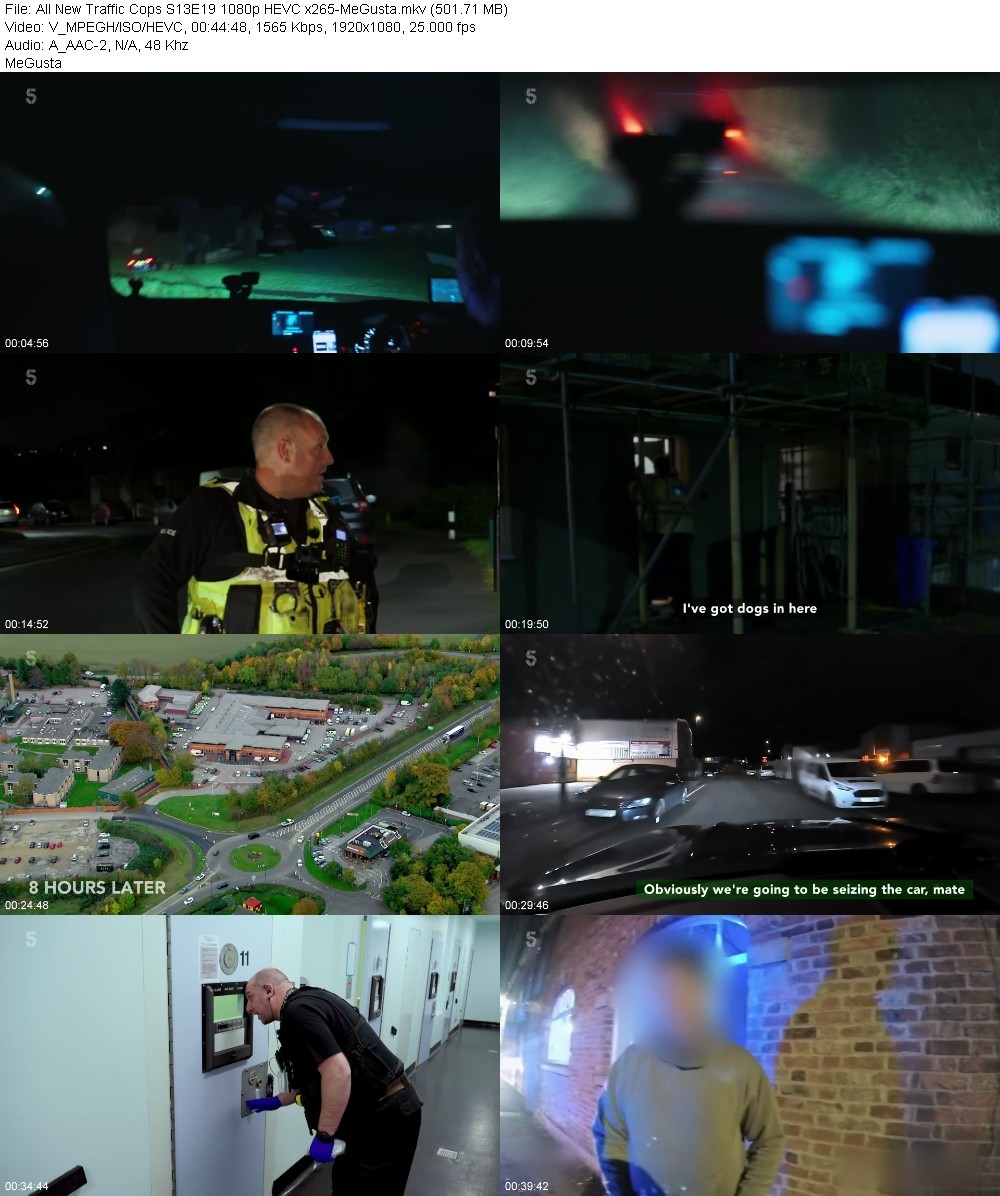 All New Traffic Cops S13E19 1080p HEVC x265-MeGusta