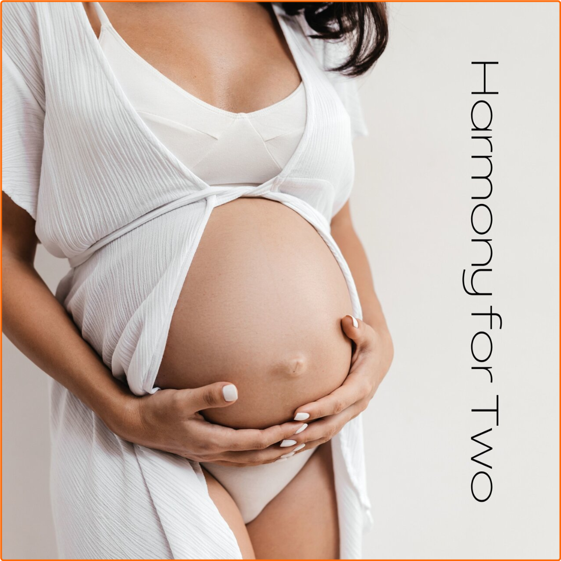 Pregnant Women Music Company Harmony For Two Music To Soothe Pregnancy Stress (2024) [FLAC] 16BITS 44 1KHZ SfTKPPxy_o