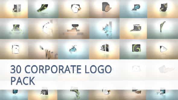 30 Corporate Logo Animation Pack - VideoHive 20022901