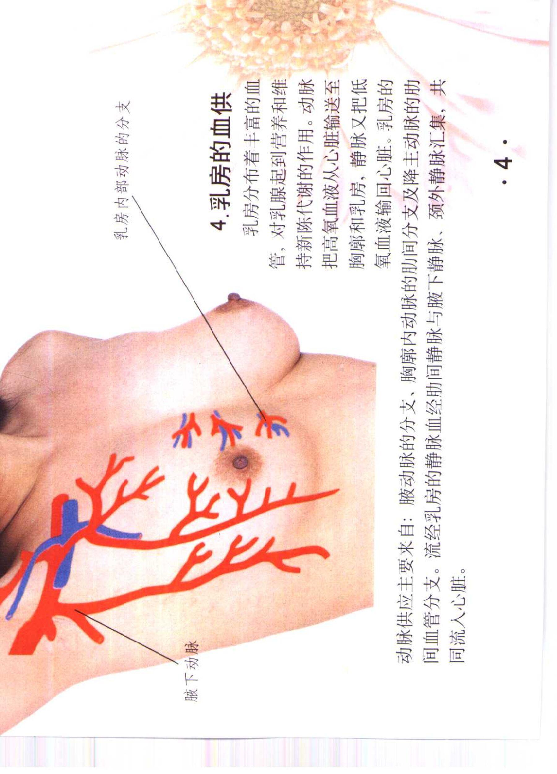 书籍扫描 乳房保健按摩彩色图谱(9)